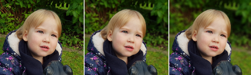 Una sola foto, varios niveles de desenfoque bokeh con solo mover una barra. Foto: Gizmodo